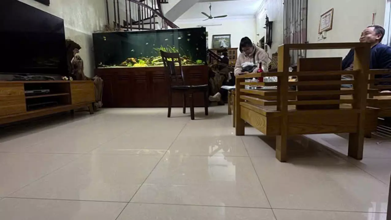 Hoang Mai