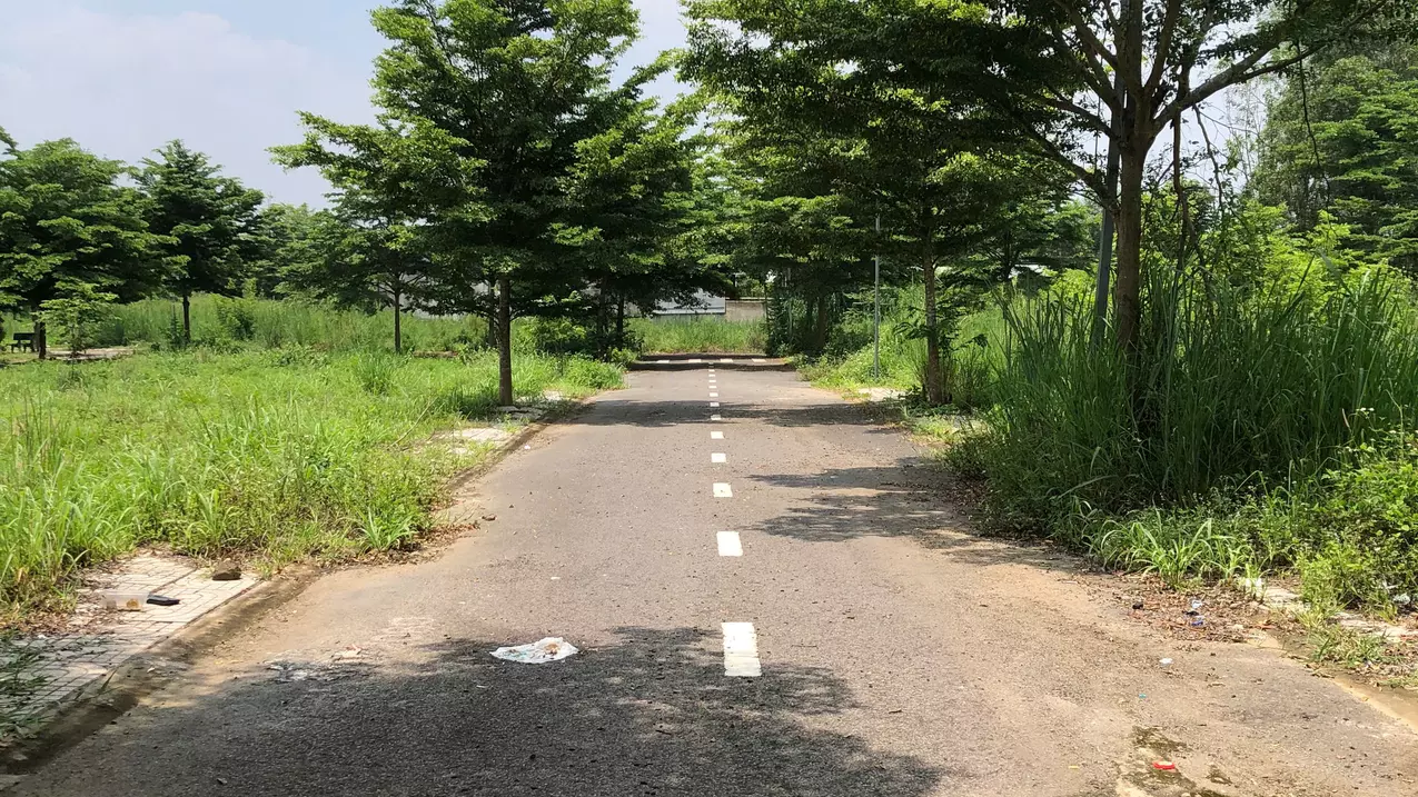 Trang Bom