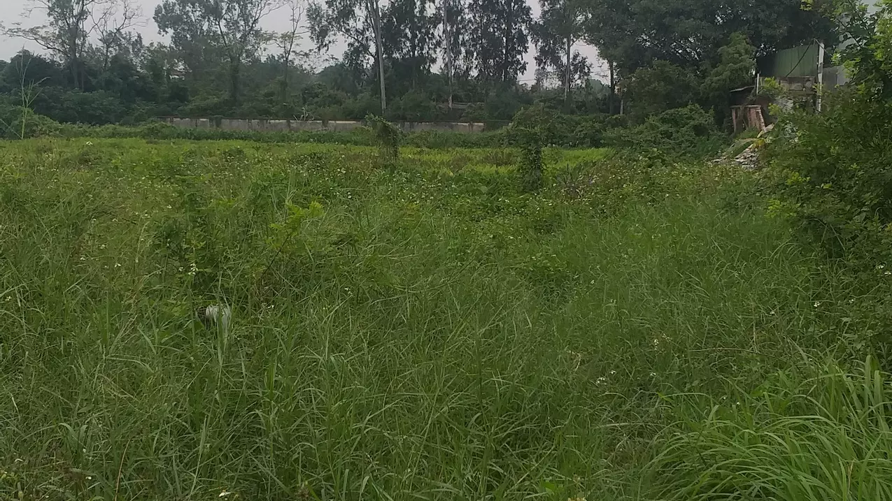 Van Giang