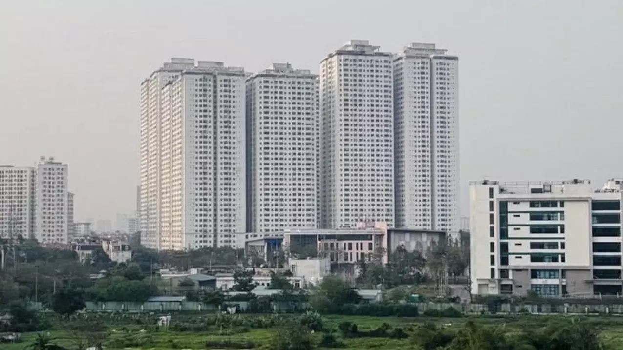 Hoang Mai