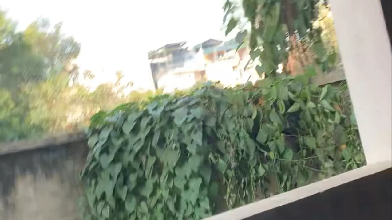 Nam Tu Liem