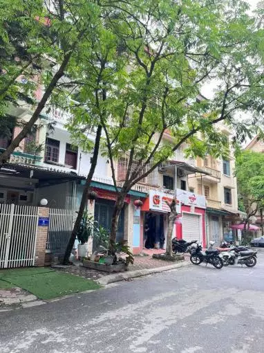 Hoang Mai