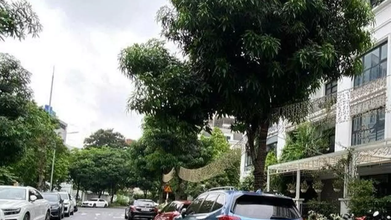 Nam Tu Liem