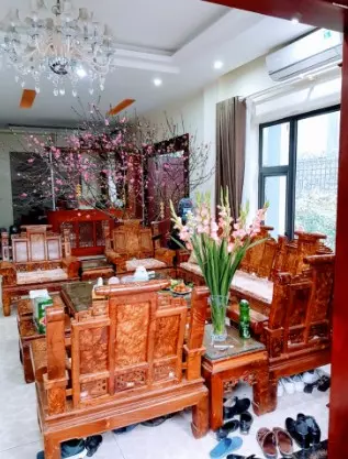 Thanh Tri
