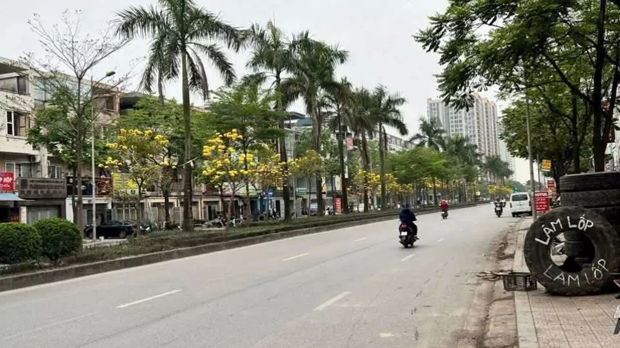 Hoang Mai