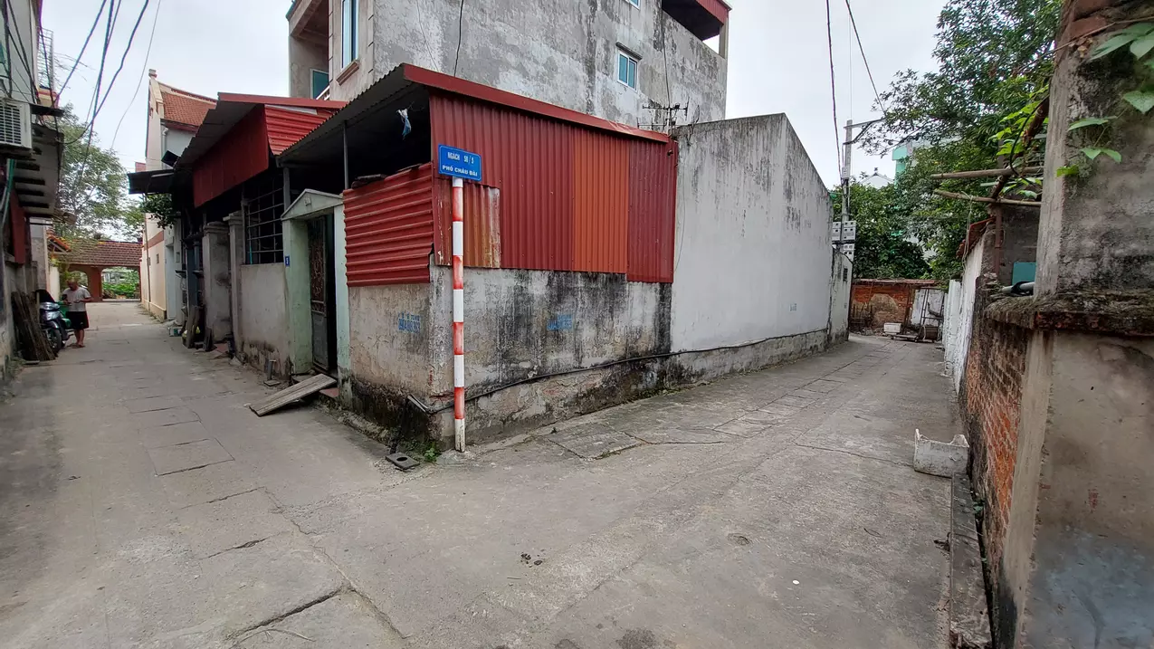 Youth
