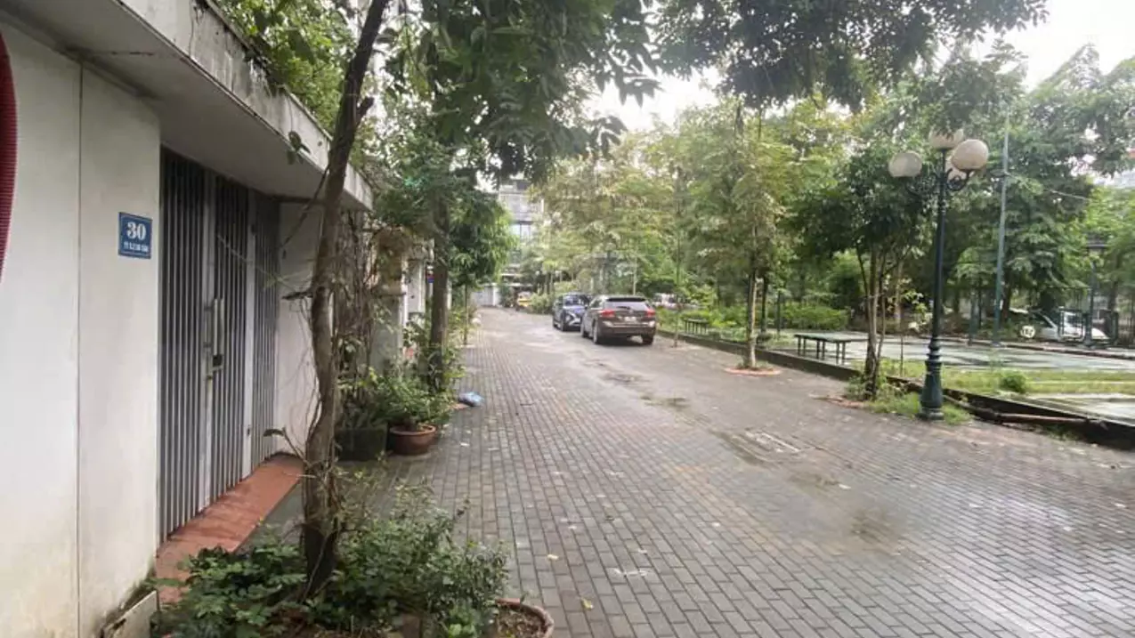 Hoang Mai