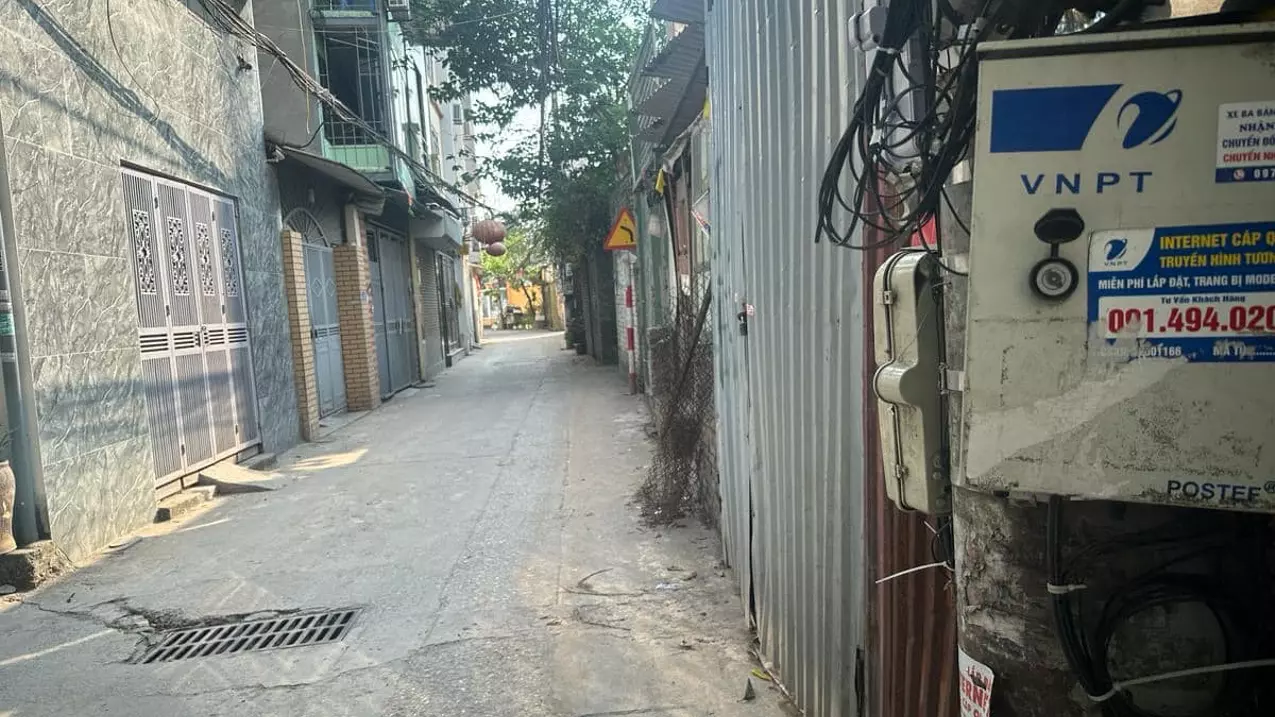 Hoang Mai