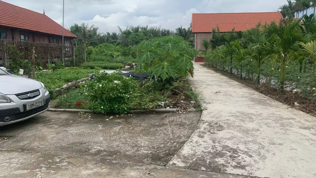 Duong Kinh