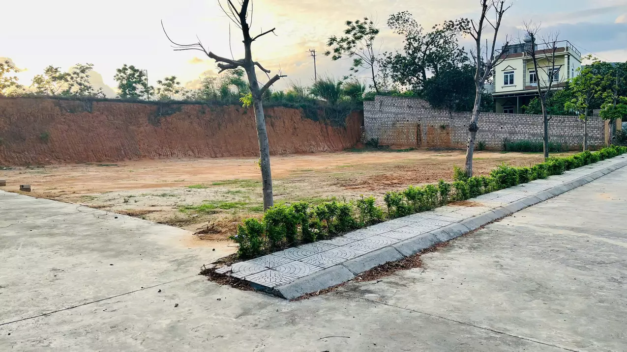 Dong Trieu