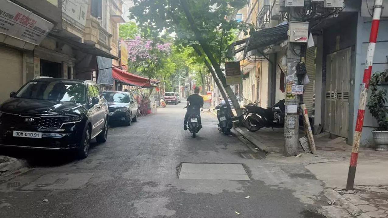 Hoang Mai