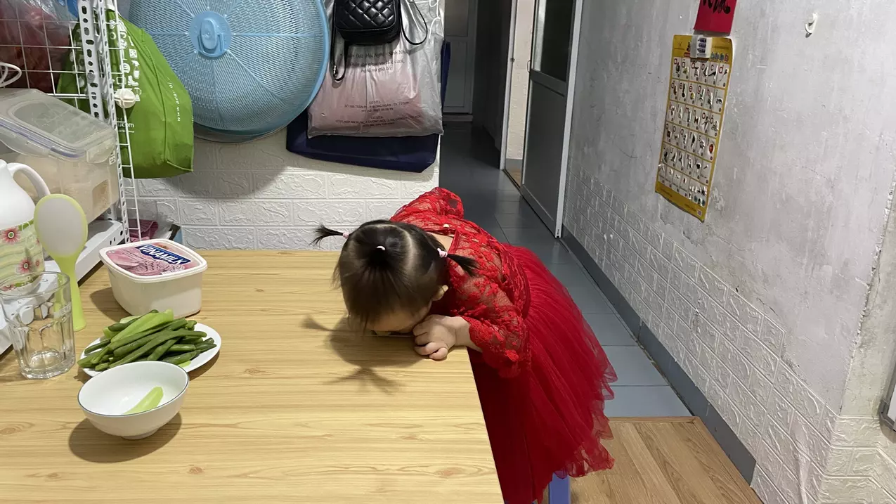 Ha Dong