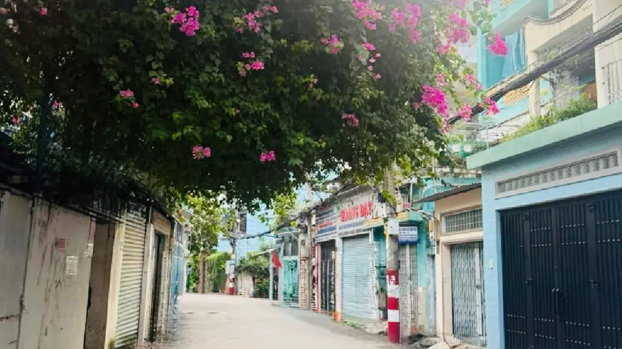 Tan Binh