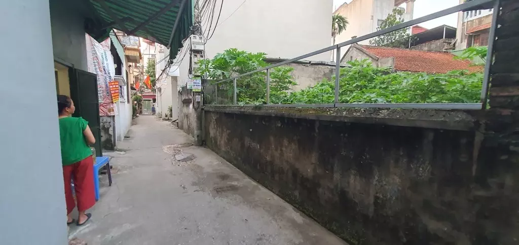 Hoang Mai