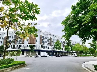 Hoang Mai