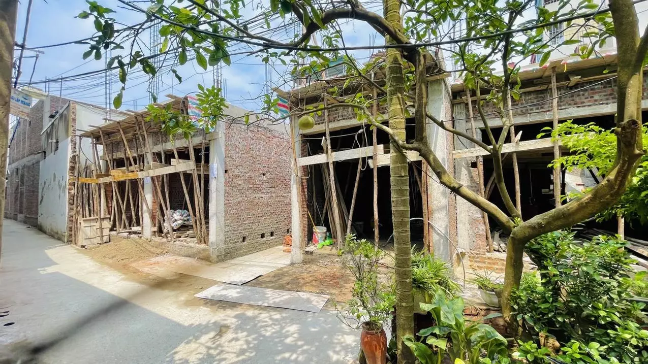 Hoang Mai