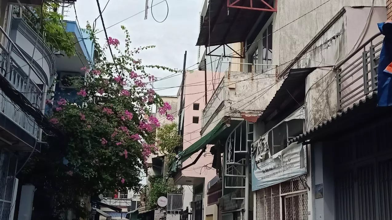Tan Phu
