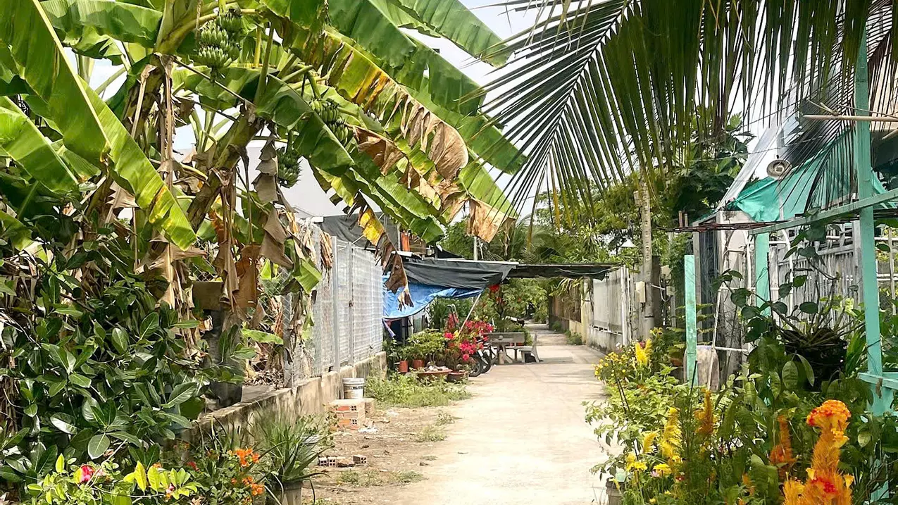 for sale 250m2 residential land in ba gac alley near nh1a