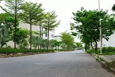 Ha Dong