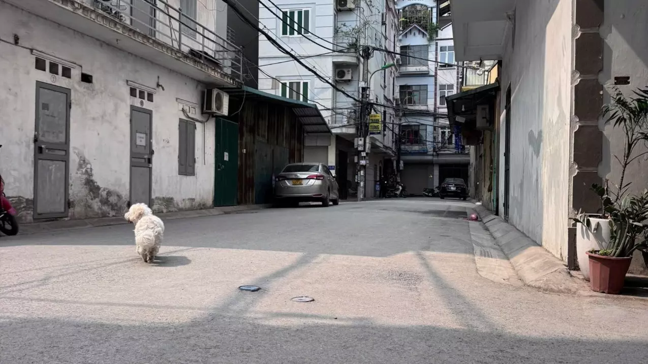 Bac Tu Liem
