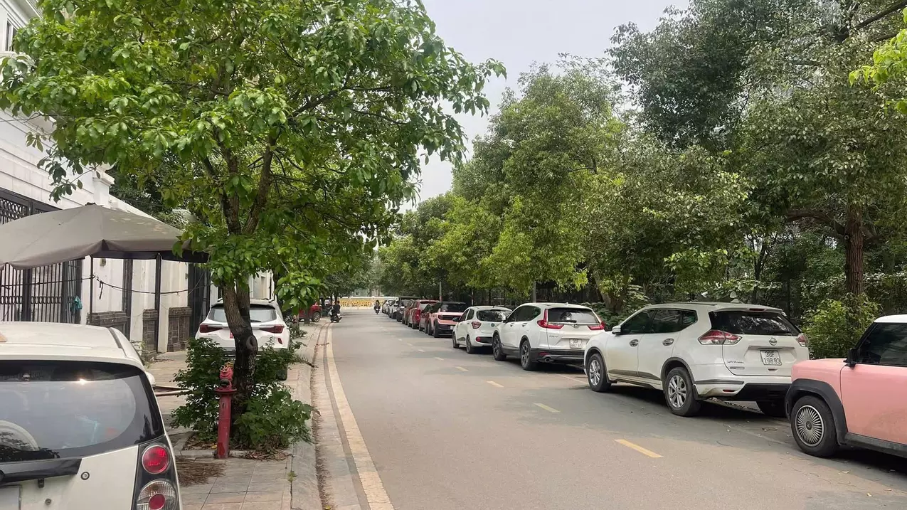 Nam Tu Liem