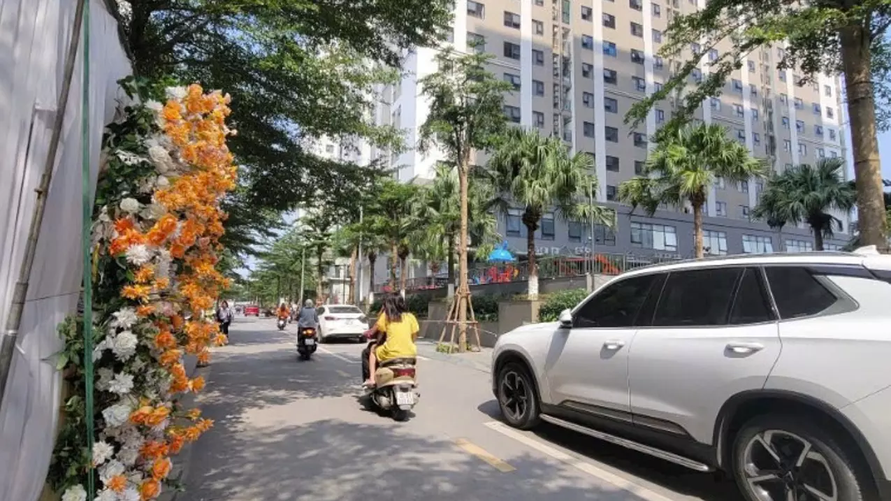 Thanh Tri