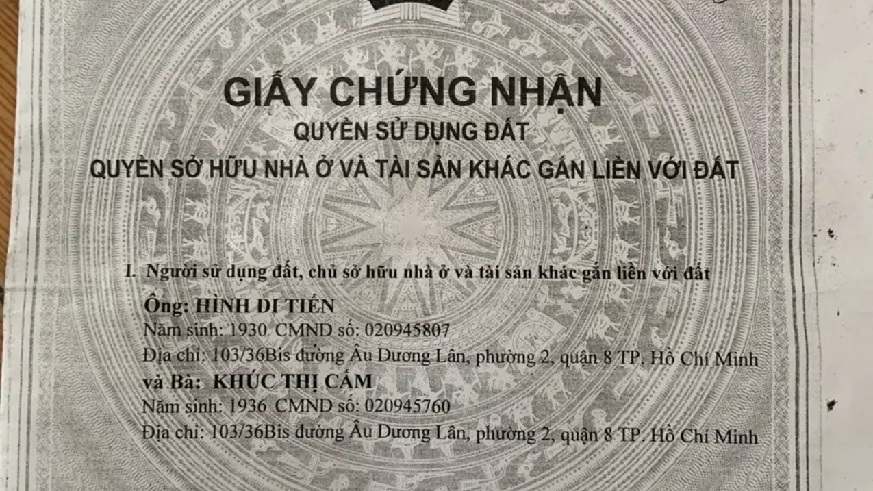 District 8