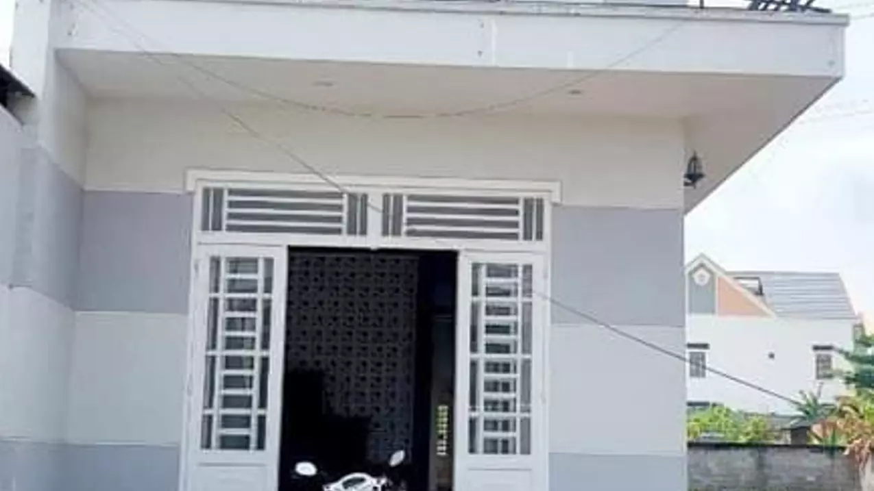 Ben Cat