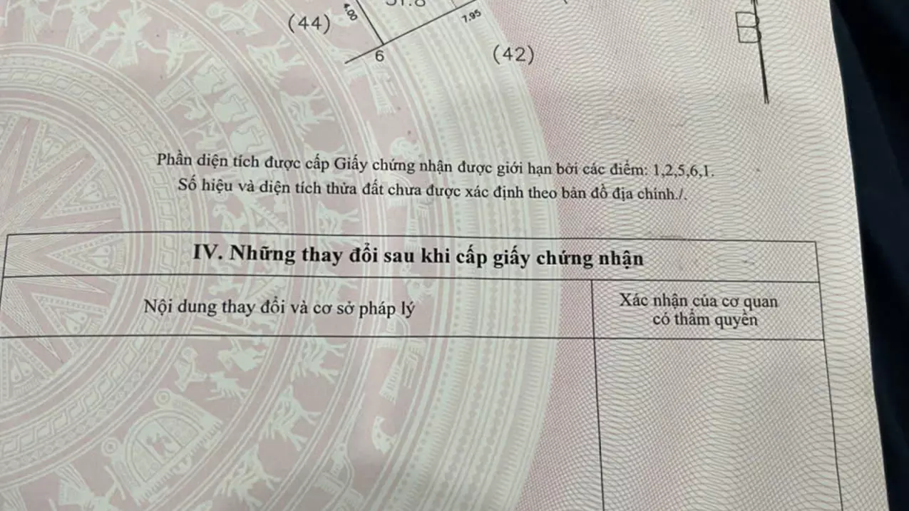 Nam Tu Liem