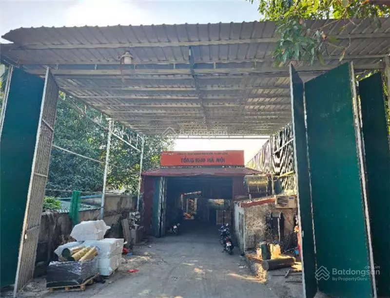 Hoang Mai