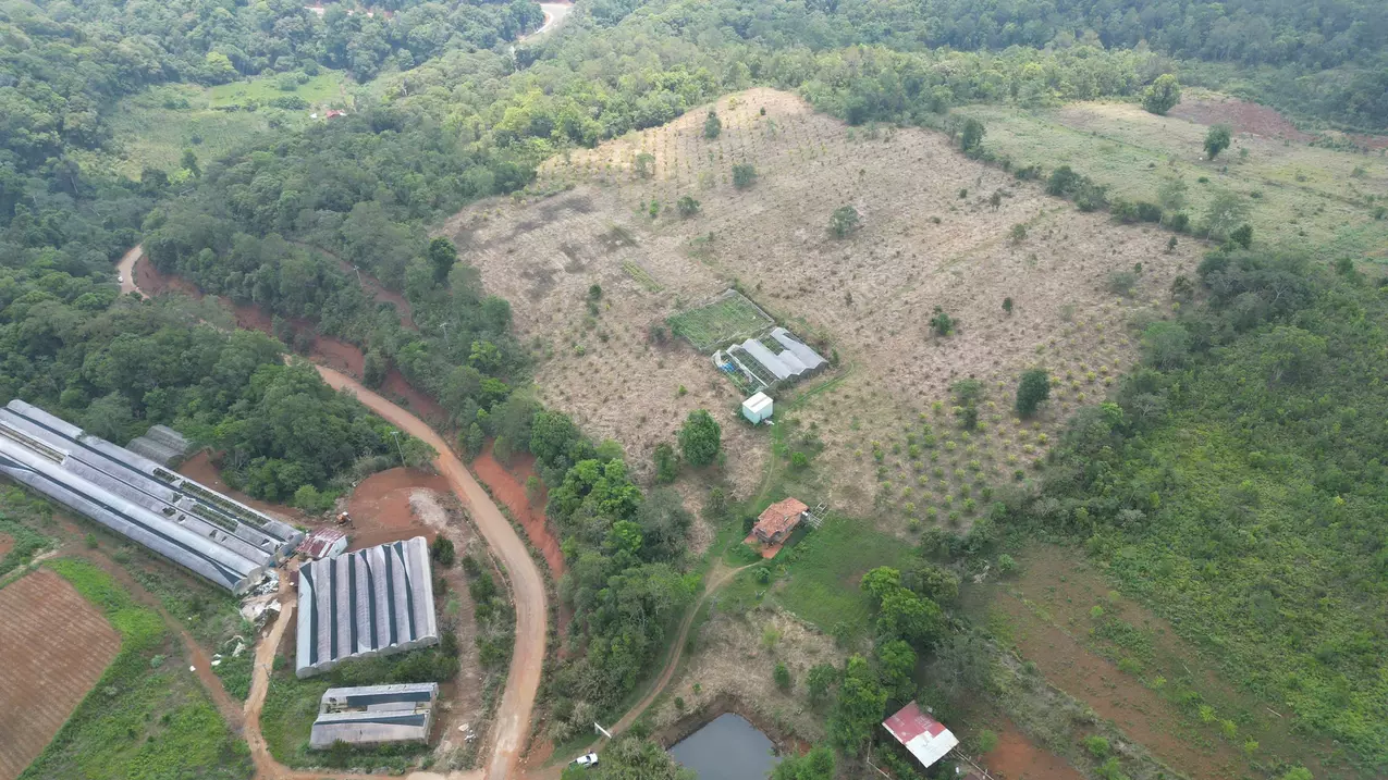 how much will you pay to get this 5 hectares of golden land?