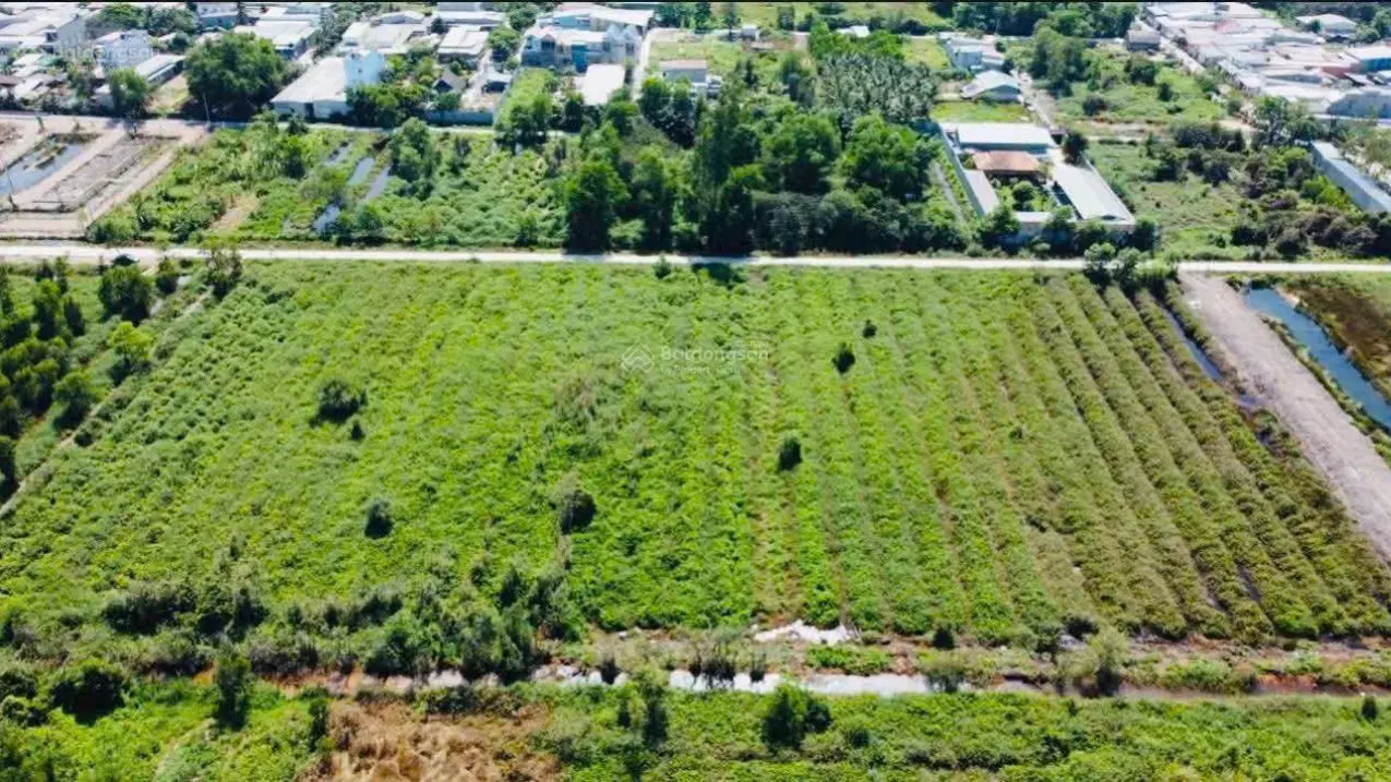 sale 16,500m2 tran van giau binh chanh social house 175m x 95m only 59 billion