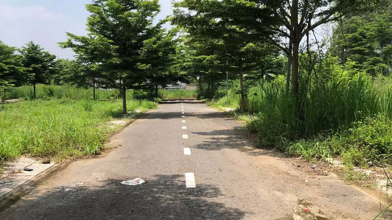Trang Bom