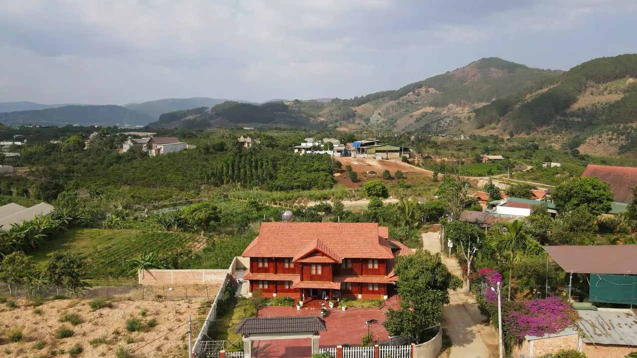 Lam Ha