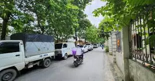 Cau Giay