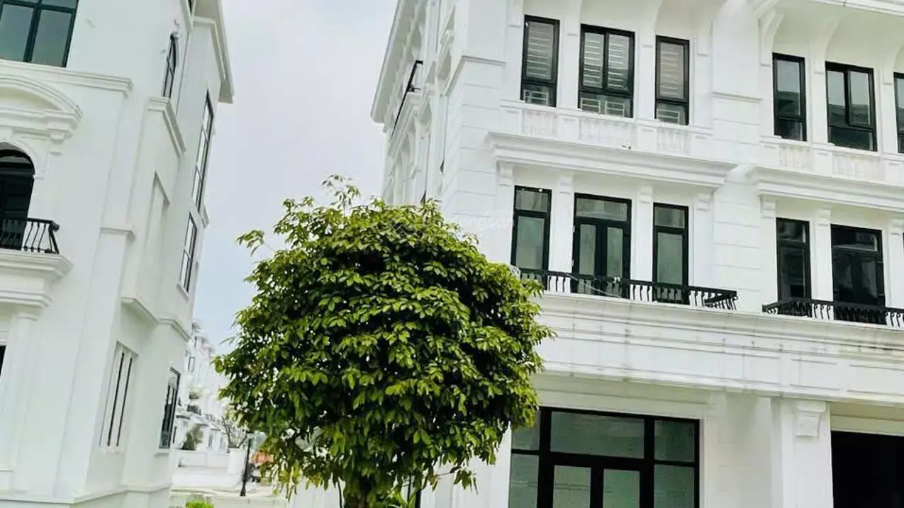 Hoang Mai
