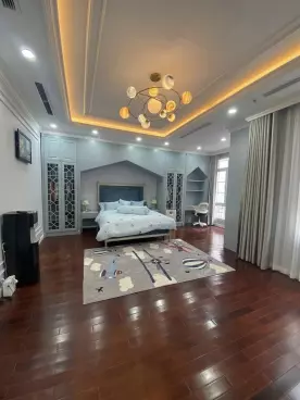 Ba Dinh
