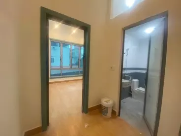 Dong Anh