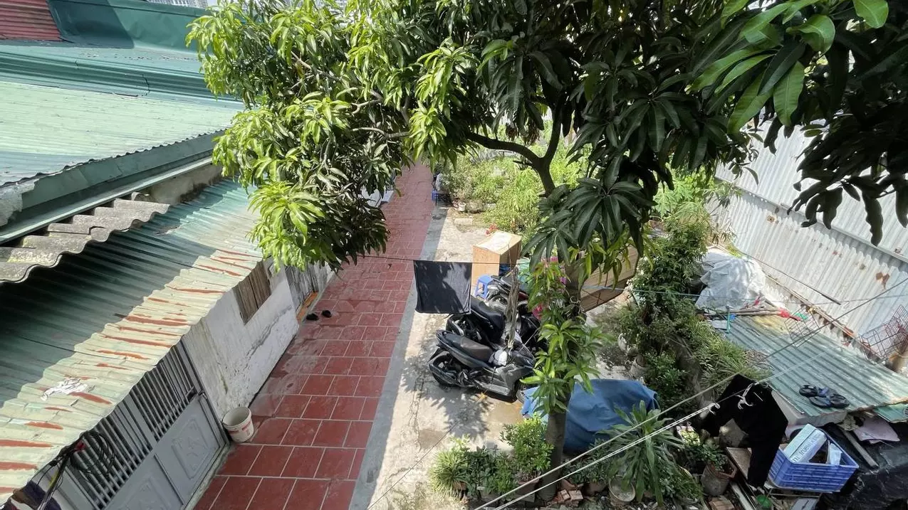 Hoang Mai