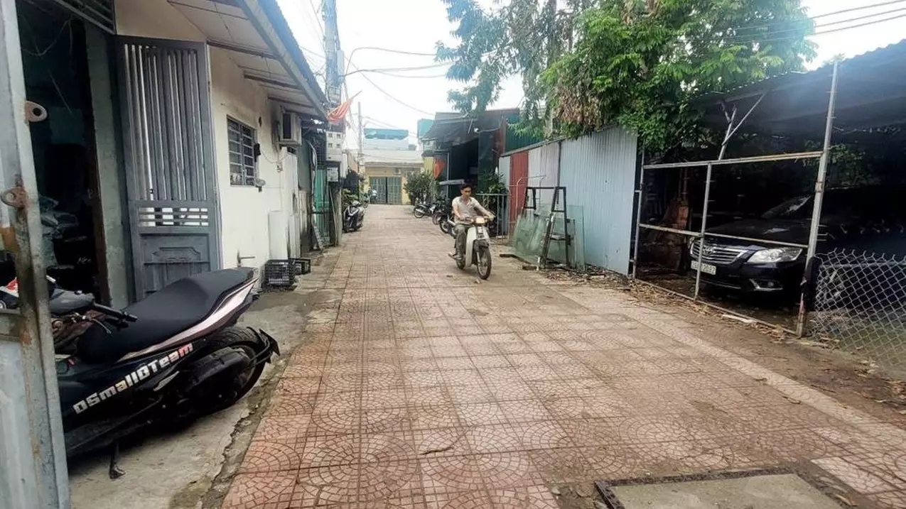 Hoang Mai