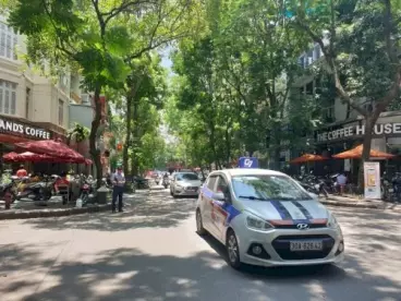 Hoang Mai