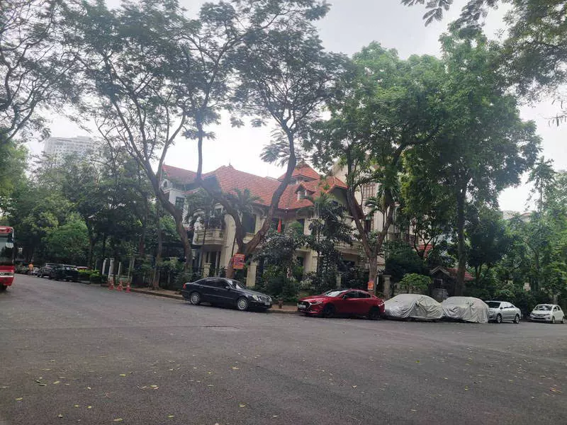 Hoang Mai
