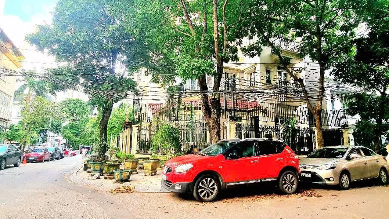 Hoang Mai
