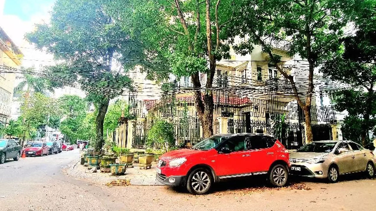 Hoang Mai