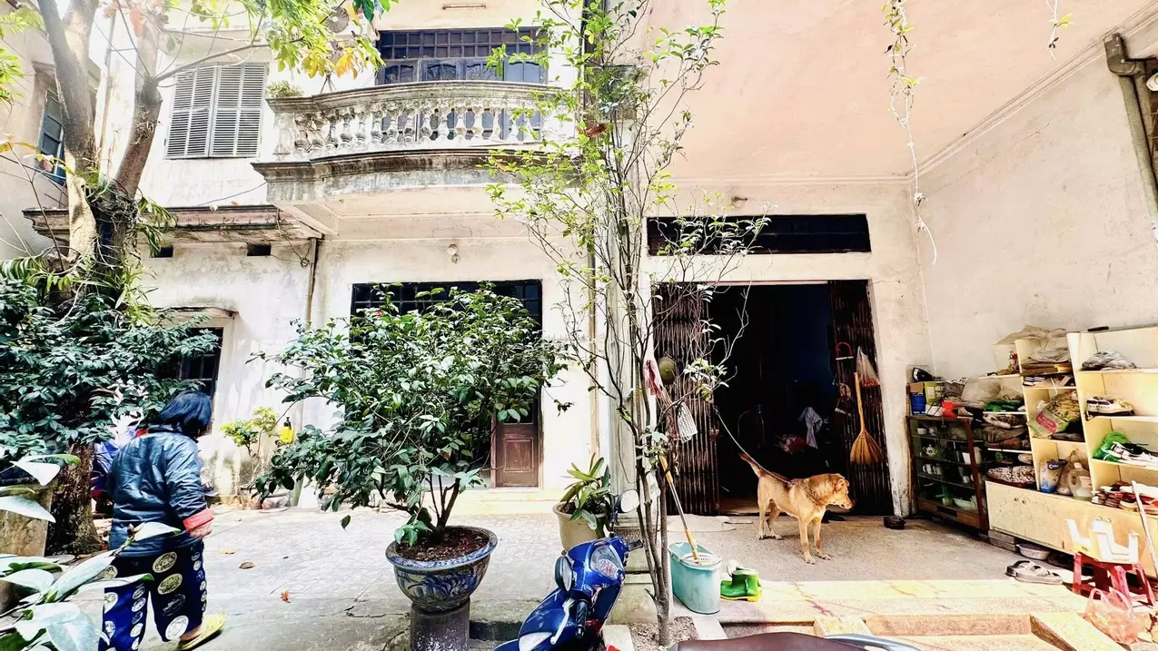 Hoang Mai