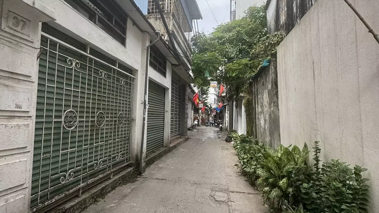 Hoang Mai