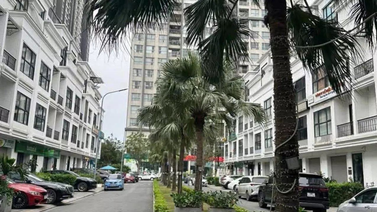 Nam Tu Liem