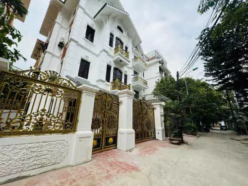 Hoang Mai