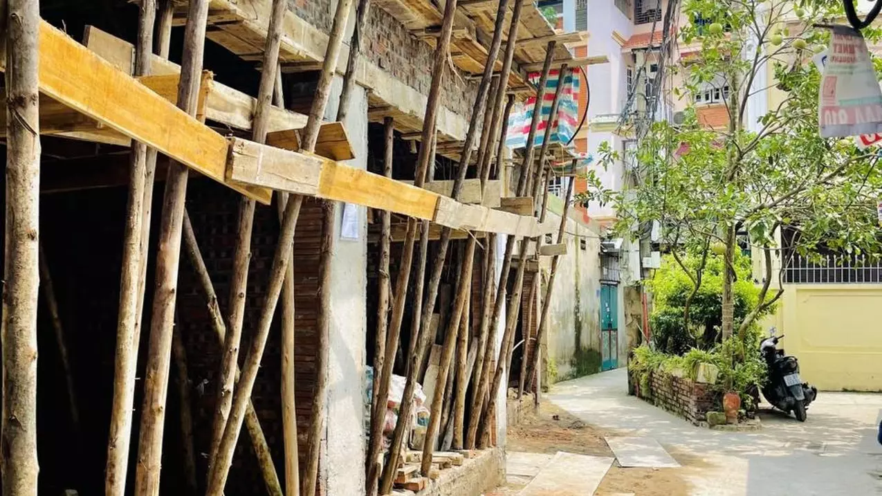 Hoang Mai