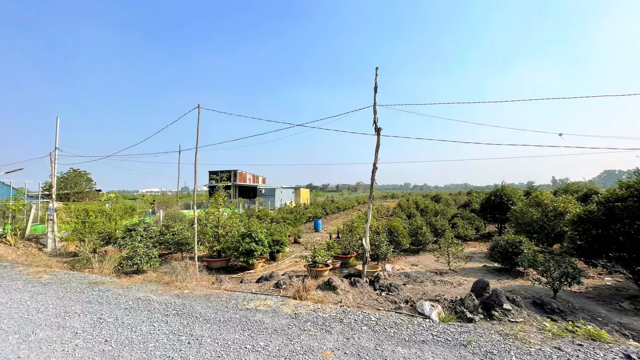 for sale 1000m2 9x111 garden land car road to the land